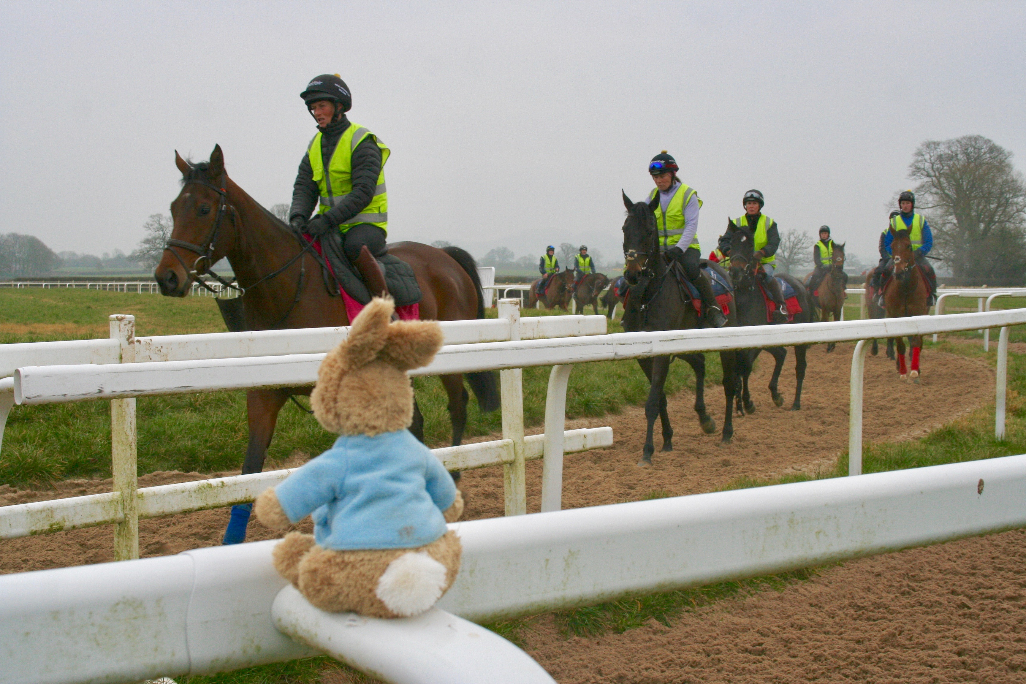 Follow the racing rabbit to Exeter Racecourse The Exeter Daily